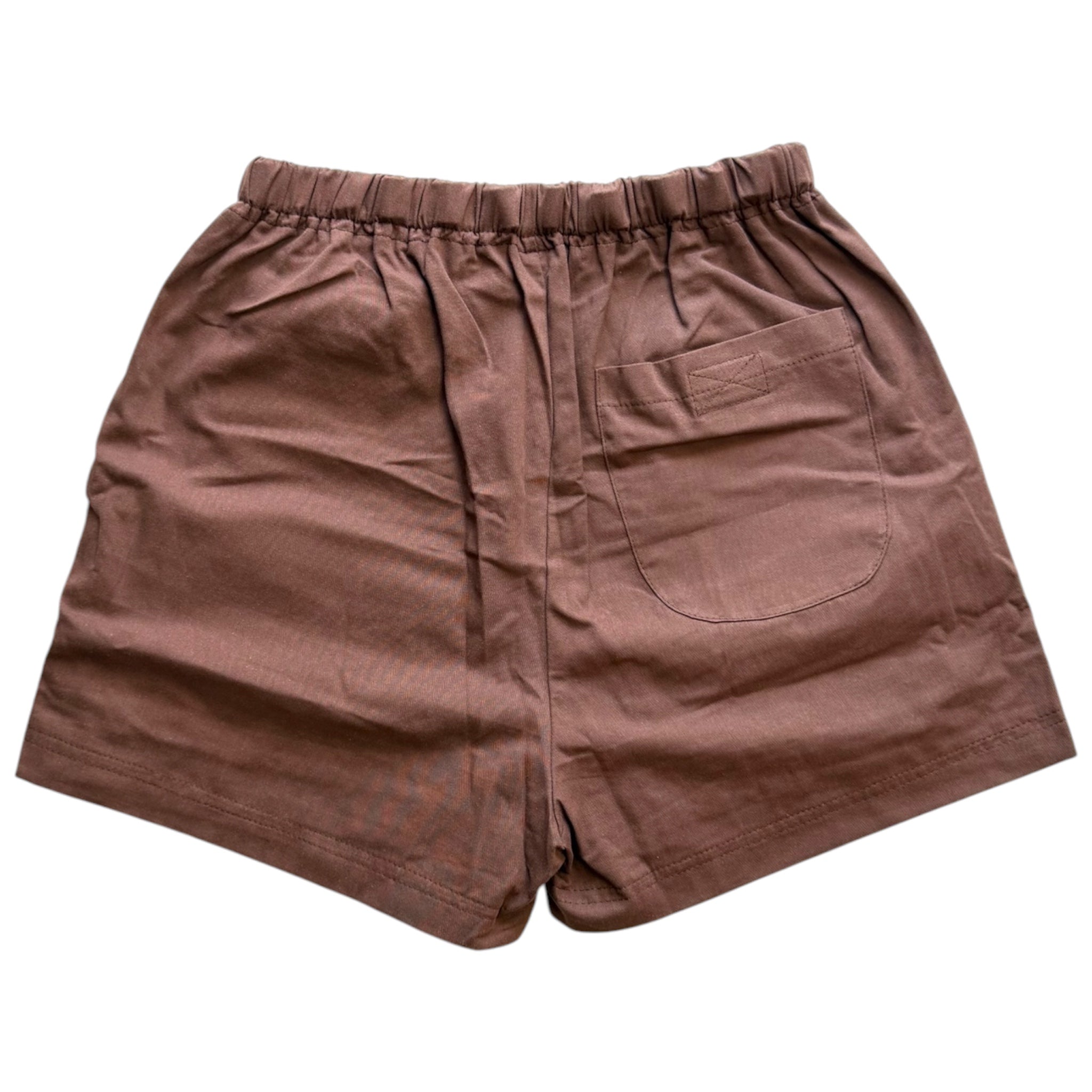 Into the Wild Brown Cargo Shorts